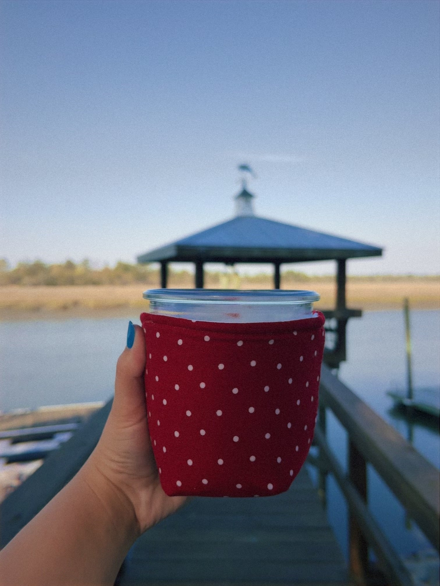 Reversible Cherries Weck Jar Coozie