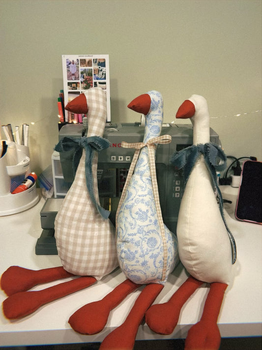 Stuffed Goose πͺΏ